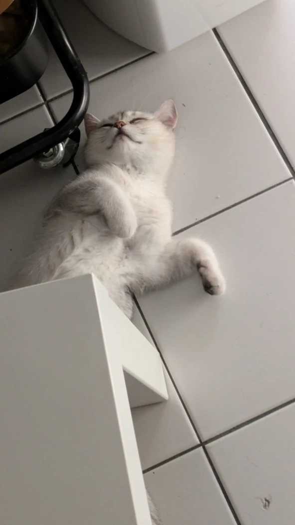 Alfred