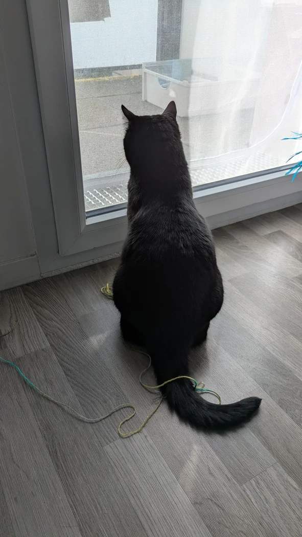Babouche